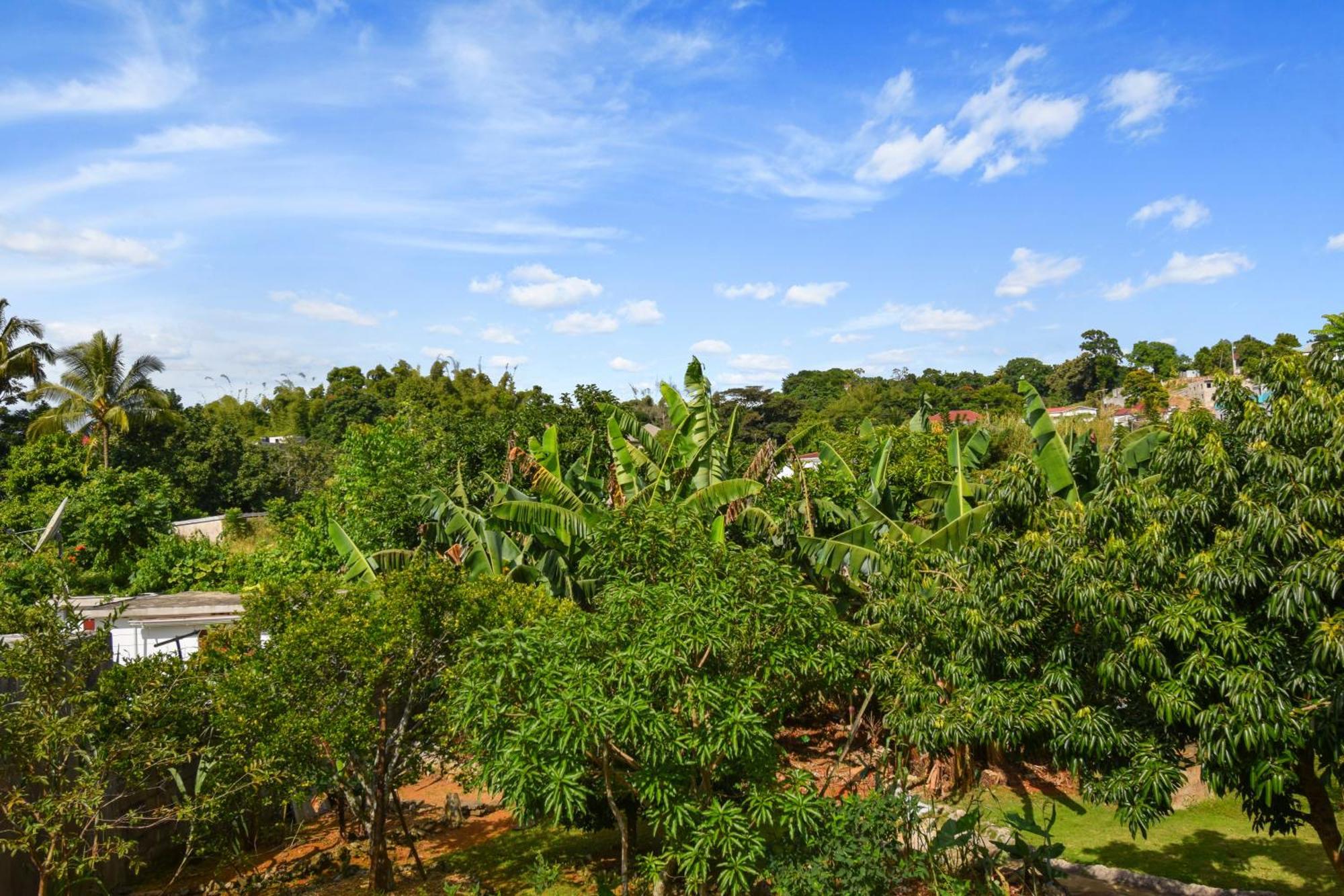 Harriott Heights Apartment Mandeville Exterior photo